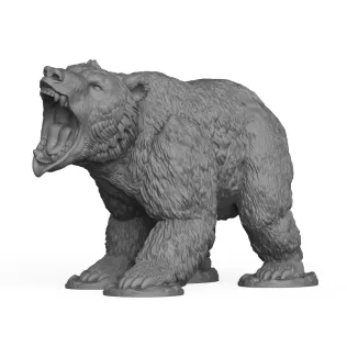 Roar Wild Bear