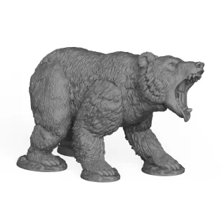 Roar Wild Bear