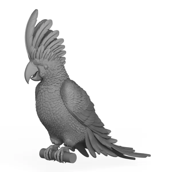 Cacadu Parrot Bird - Model preview 1