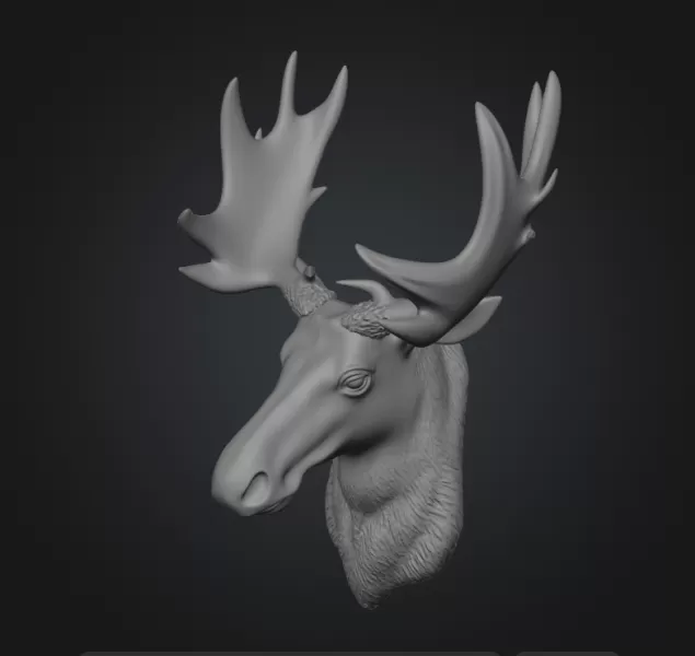Moose head wall decor - Model preview 1