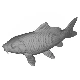 3D Printable Fish - Model thumbnail 5