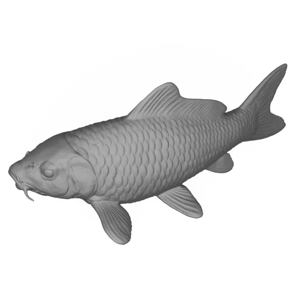 3D Printable Fish - Model preview 5