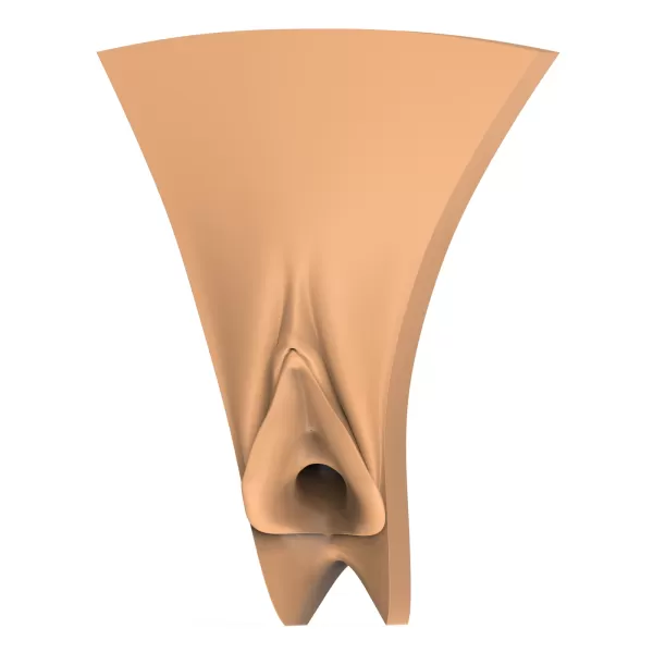 3D Print Ready Vagina Stage Collection - Model preview 7