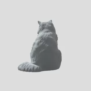 Detailed Cat - Model thumbnail 3