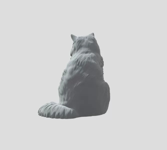 Detailed Cat - Model preview 3