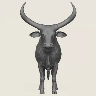 Indian Bull Print Ready 3D Model - Model thumbnail 2