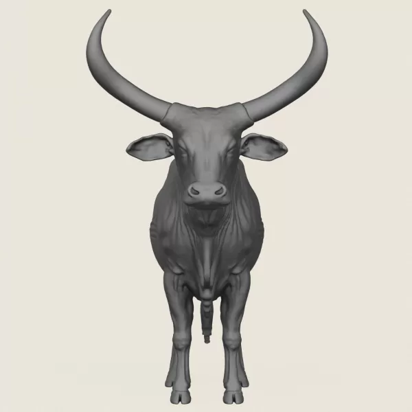 Indian Bull Print Ready 3D Model - Model preview 2