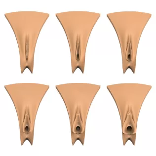 3D Print Ready Vagina Stage Collection - Model thumbnail 1