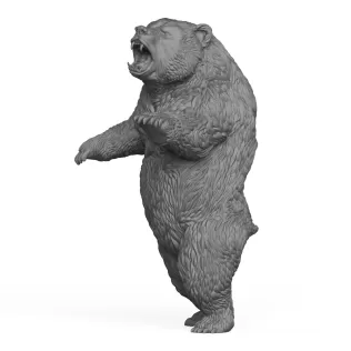 Wild Bear