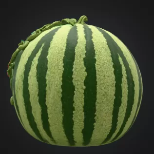 Watermelon Fairy House STL for 3D Print - Model thumbnail 5