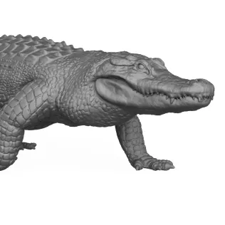 3D Printable Wild Animal Alligator - Model thumbnail 2