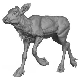 3D Printable Reindeer Calf Standing Pose