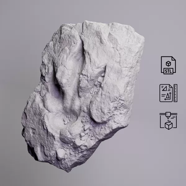 Dinosaur Track Fossil Rock #RoZ - Model preview 5