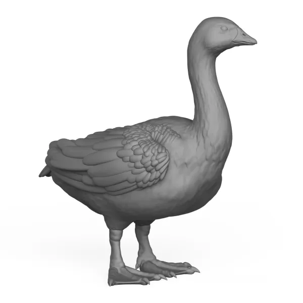 Goose Bird - Model preview 5