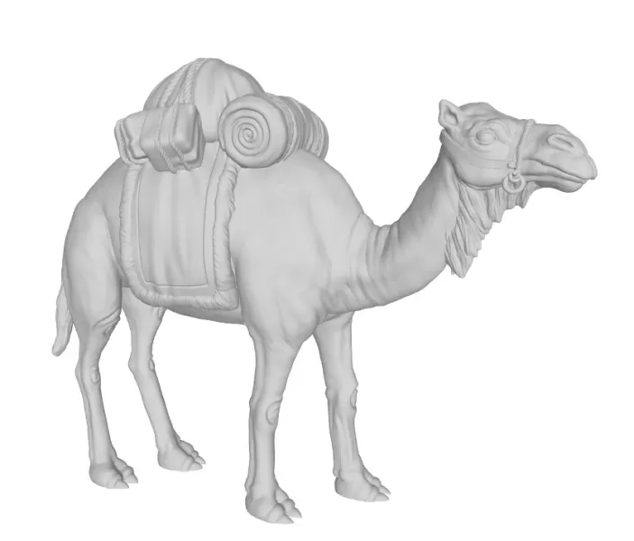 Caravan Camel - Model preview 1