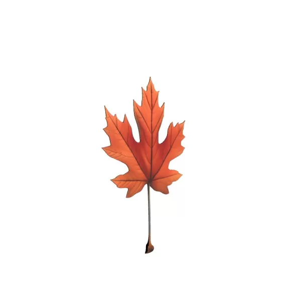 Canada Maple Leaf 3D Model - Model preview 4