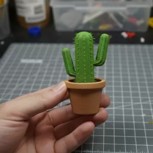 Cactus Plant - Model thumbnail 1