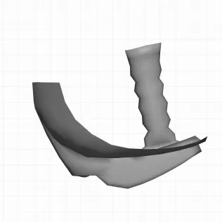 GENITALIA fEMALE - Model thumbnail 3