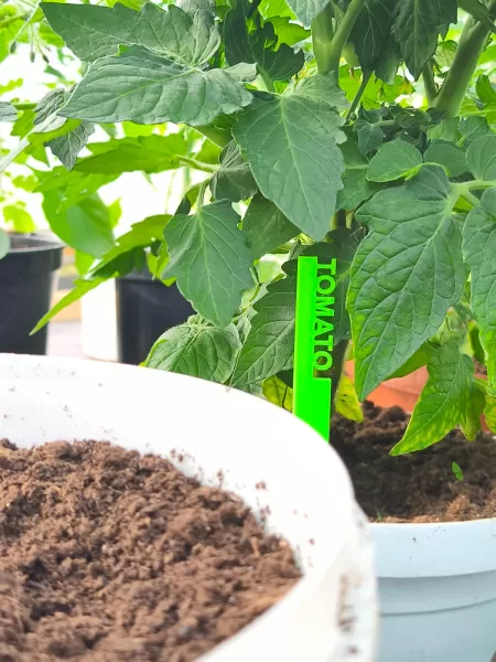 3D Printed Garden Markers STL, Herb and Vegetable Labels 3D Prin - Model preview 9