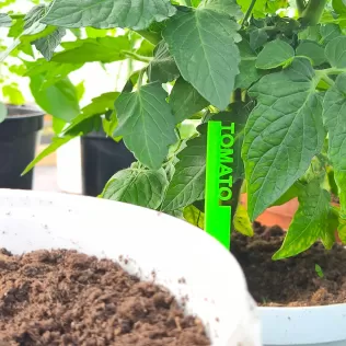 3D Printed Garden Markers STL, Herb and Vegetable Labels 3D Prin - Model thumbnail 9