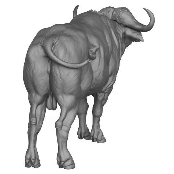 3D Printable Wild Buffalo - Model preview 4