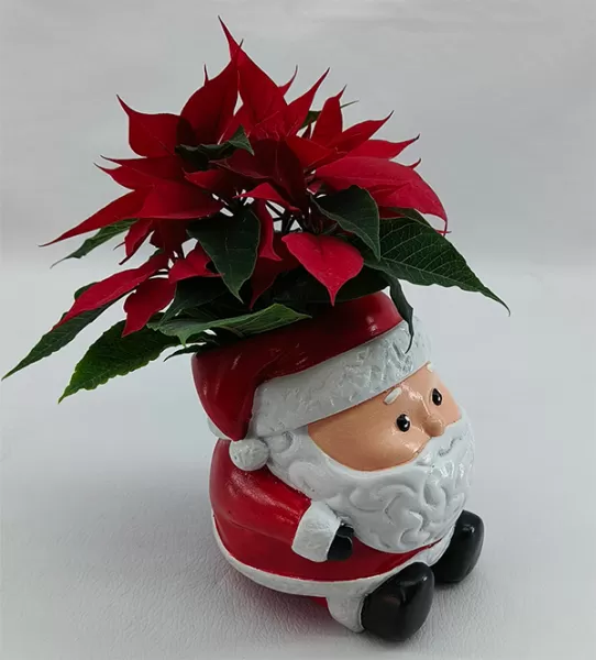 Santa Claus pencil holder / flower pot - Model preview 5