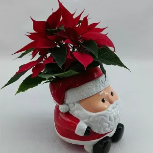 Santa Claus pencil holder / flower pot - Model thumbnail 5