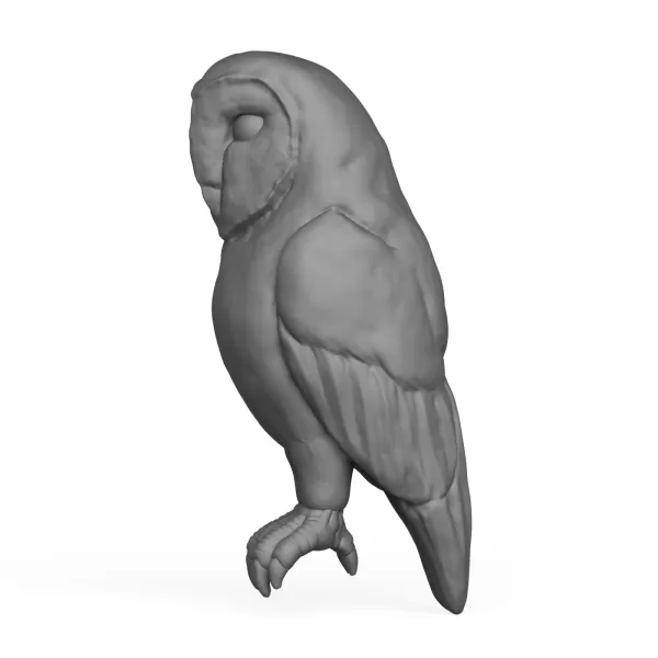 Owl Bird - Model preview 3