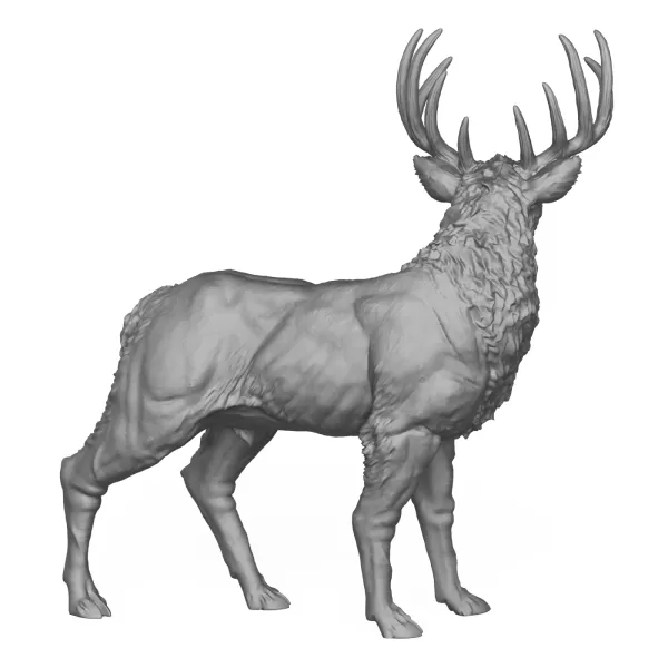Wild Elk Deer 3D Print Model - Model preview 3