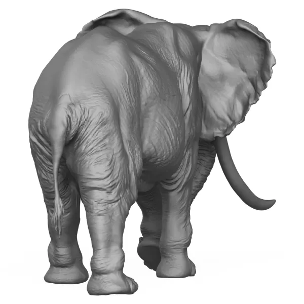 3D Printable Elephant - Model preview 4