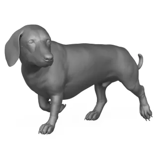 Dachshund Dog 3D Print Model - Model thumbnail 3