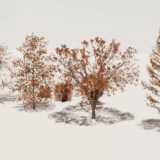 3D autumn trees - Model thumbnail 1