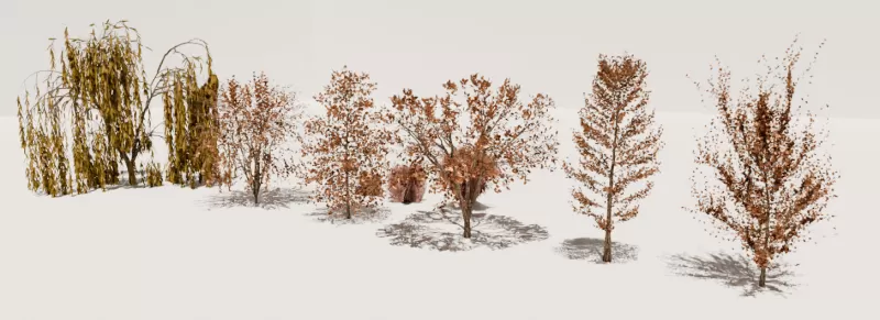 3D autumn trees - Model preview 1