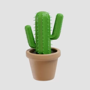 Cactus Plant - Model thumbnail 4