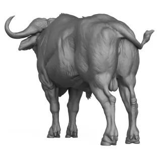 3D Printable Wild Buffalo