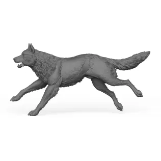 Wild Wolf - Model thumbnail 3