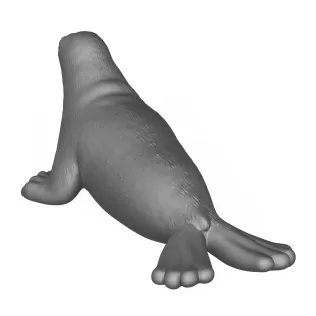 Seal Fish 3D Print Model - Model thumbnail 5