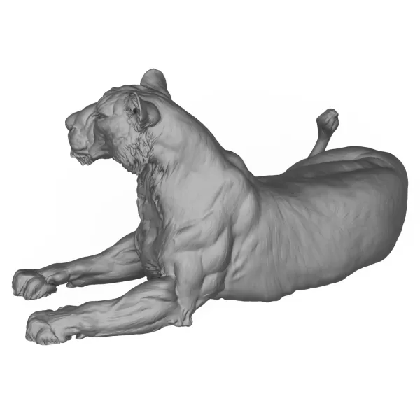 3D Printable Lying Wild Lioness - Model preview 5