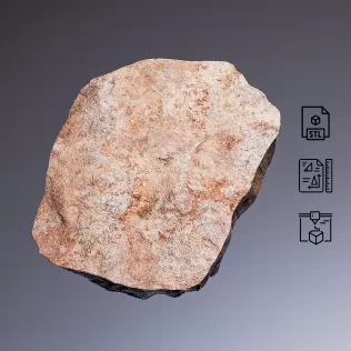 Dinosaur Footprint Fossil #RoZ - Model thumbnail 4