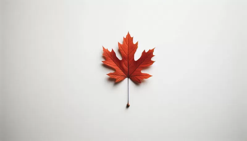 Canada Maple Leaf 3D Model - Model preview 1