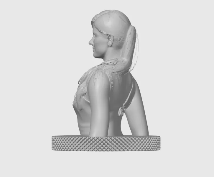 Sandra Bullock 3D Bust Print - Model preview 7