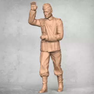 Injured Army Soldier