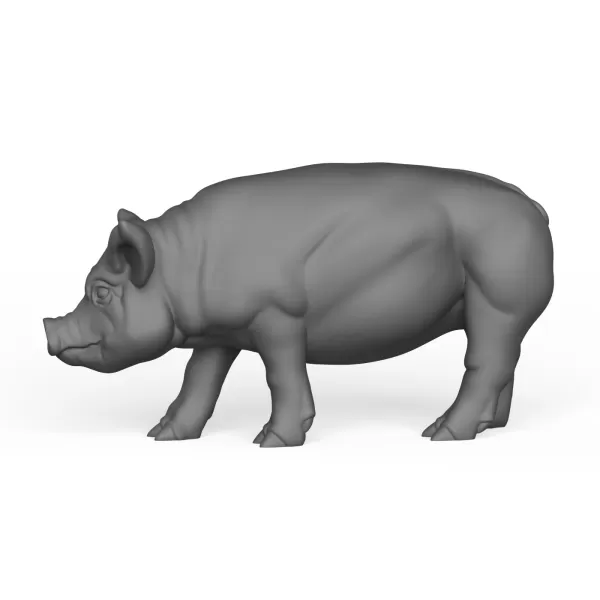 Pig - Model preview 3