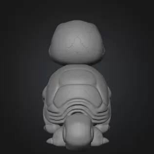 baby turttle