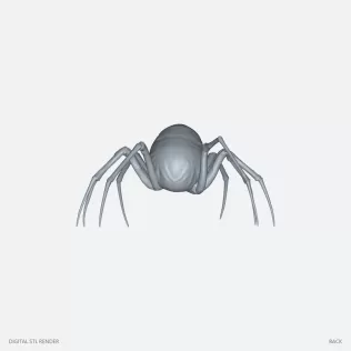 Skull Spider Creature - 100 mm STL