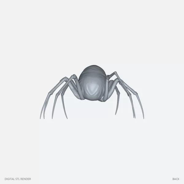 Skull Spider Creature - 100 mm STL - Model preview 4