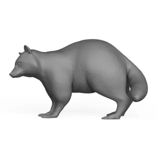 Racoon Animal - Model thumbnail 3
