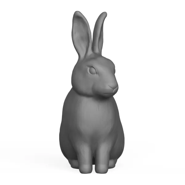 Rabbit - Model preview 2