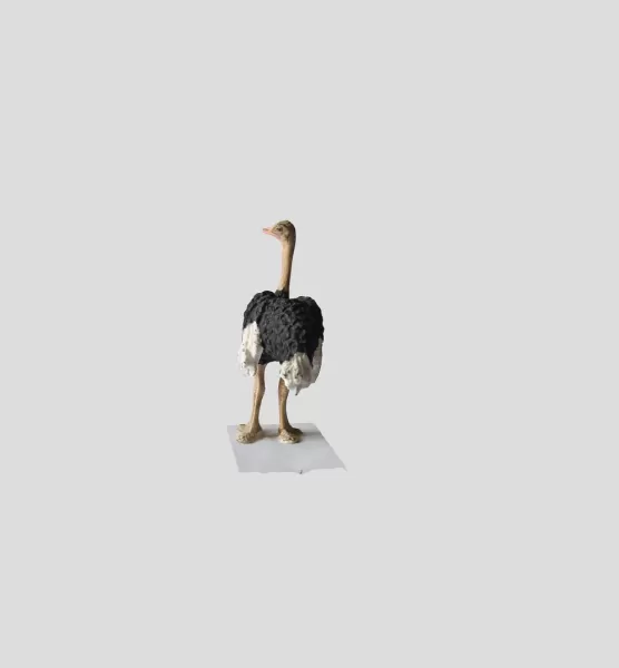 Straus - Model preview 3