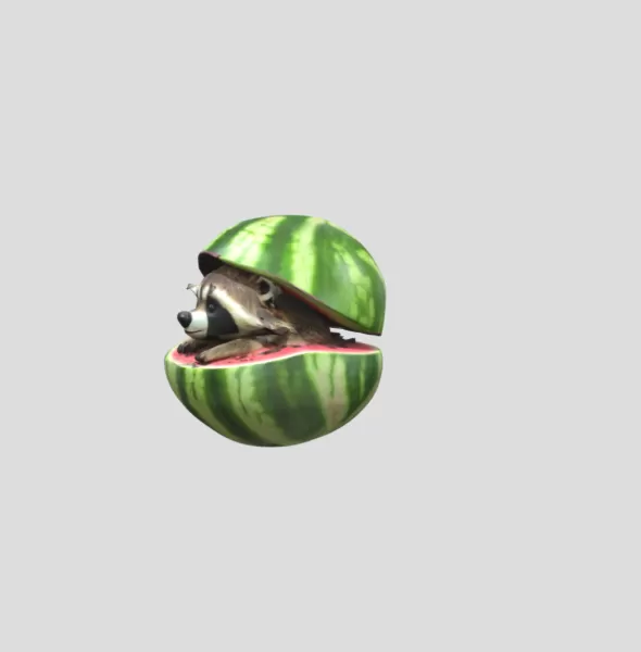 Raccooni Watermelunni - Model preview 2
